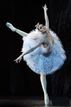 Naujas profesionalus baleto šokių siūlai sijonas baleto sijonas Gulbių Ežeras kostiumai mergina dirželis blizgučiais baleto sijonas