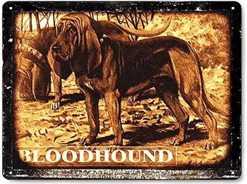 Bloodhound medžioklinis šuo metalo prisijungti/juokingas naminių gyvūnėlių parduotuvės 